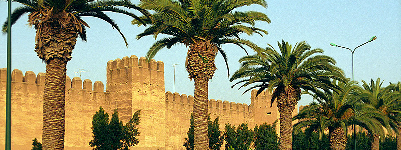 Excursion Taroudannt 4h 70 euro